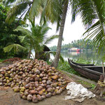Kerala - Land der Kokosnüsse