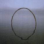 ring of reed, lake of Constance 1996