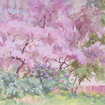 Blühende Bäume,  21 x 31 cm, Gouache      - 200 Euro