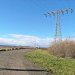 Deutzen, Weg zum Aussichtspunkt Tagebau Schleenhain - Foto: skb2015, Tourplanung: IBG