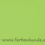 Uni Kiwigrün