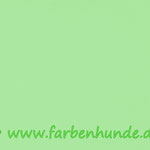 Uni Minzgrün