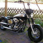 Softail TwinCam EFI 2003