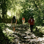 Boutique hostel in the area of Minca and Santa Marta