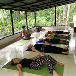 Boutique hostel in the area of Minca and Santa Marta