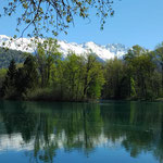 Ce genre de paysage de printemps ajoute du plaisir à la sortie vélo, ici le lac de Grésy. Au fond enneigée la vanoise