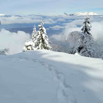 Type de paysage souvent rencontré cet hiver, après des chutes de neige. Il fallait faire la trace, excellent entrainement pour la saison vélo qui suit.