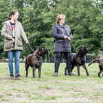 nest Edition; Jake, Kyra, Doris en mama Blacky op terugkomdag 2020