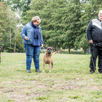 nest black Terugkomdag 2020; Blacky, mama Roos en Biko