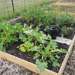 Plot #5