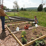Plot #4
