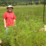 Cristina our photographer gardener