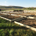 Before garden
