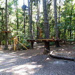 Klettern im Wald-Hochseilgarten Regensburg