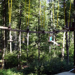 Klettern im Wald-Hochseilgarten Regensburg