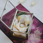 Eheringe Fotos Ivory Rose Photography