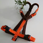 Komfort Brustkreuz, Reflexgurtband rot 2 cm, Polster AirMesh braun