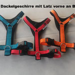 Führgeschirr mir Brustlatz, extra für Dackel angefertigt, damit der Steg an der Brust vorne nicht verrutscht. 