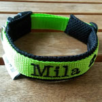 Klickhalsband: Gurtband 2cm Limone, Name gestickt, Polster schwarzes AirMesh
