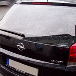 Opel Signum mit Charcoal 13