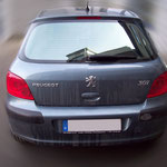 Peugeot 307 mit Quantum Hybrid Q14