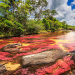 Am Caño Cristales - Abschnitt Salto del Águila