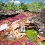 Reisebaustein Caño Cristales Tag 1 - Caño Cristalitos