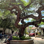 Die Plaza in Villavieja