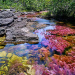 Am Caño Cristales - Abschnitt Los Pianos