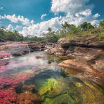 Am Caño Cristales - Abschnitt Los Ocho
