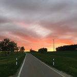 Goldene Stunde beim Therapiehof Brachfeld