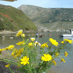 Porto Kagio