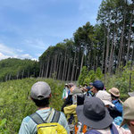 皆伐地で財団の方の説明を聞く