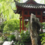 Der chinesische Gartem im China Town beim Darling Harbour