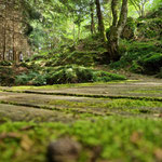Cros de Géorand - Concours photo 2025 "Au ras du sol sur le plateau ardéchois" - Lidwine V.