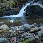Cros de Géorand - Concours photo 2025 "Au ras du sol sur le plateau ardéchois" - Baptiste O.