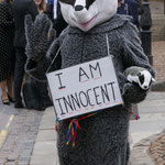 SAD badger in Oxford