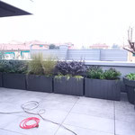 Collaborazione con Tommaso e Matteo - Allestimento terrazzo