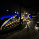 Im Walmuseum, Blauwal-Skelett