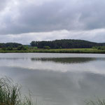 Foto Margareta Loscher