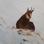 "Gäms" / Öl / 40x50 cm / 2021 /----CHF 1'700----