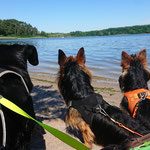 Chillen am Wasser - Foto: Nadine Hermes