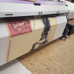 Impression sur toile coton 5000mmx1900mm