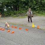 Alltagstraining (Foto: Rainer Antesberger)