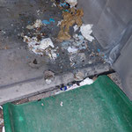 The rats managed to eat through the metal mesh lining of the garbage box :(