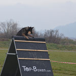 3 Jahre alt, IGP 2