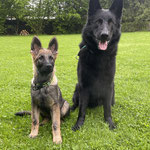 4 Monate alt mit Vater Kiro