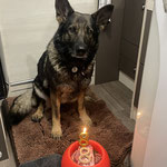 Dezember 2023 bereits 8 Jahre alt