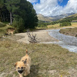 Ti-Lou commence à apprendre les montagnes Suisse / Ti-Lou lernt die Schweizer Berge kennen