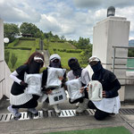 チェリーボンボン